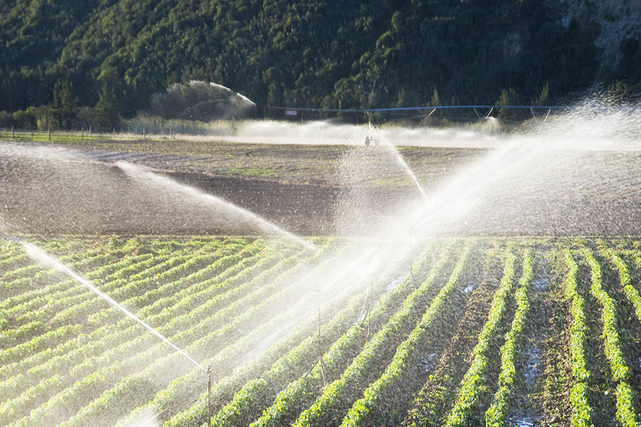 الأتمتة الزراعية